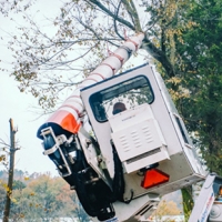 Tree Trimming Ensures Reliable Service