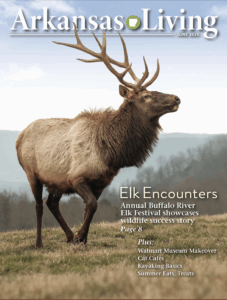 Front cover of current Arkansas Living Cover