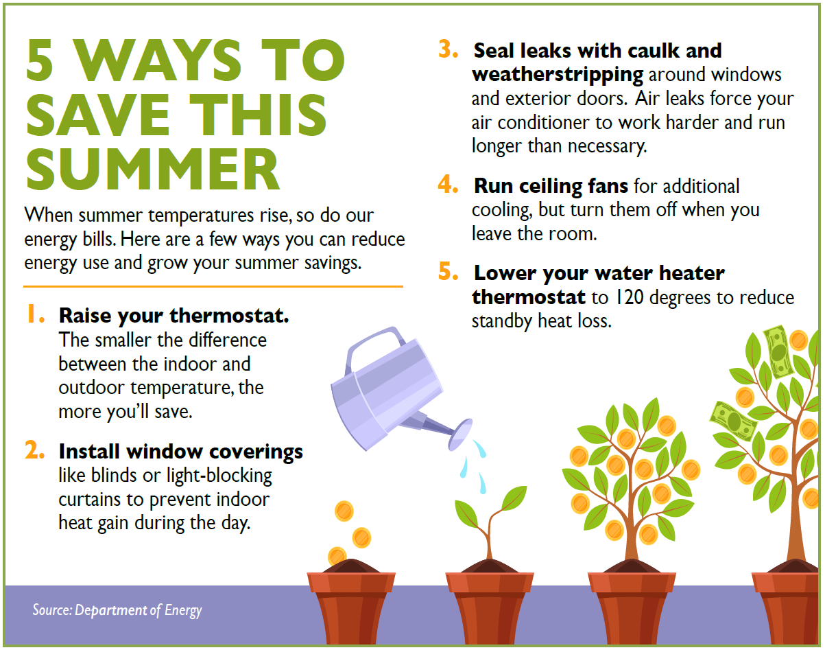 Image depecting visual cycle of a plant and the 5 tips listed in the main text of the article